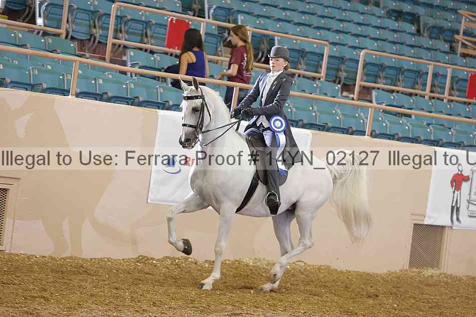 Proof 14yn_02127