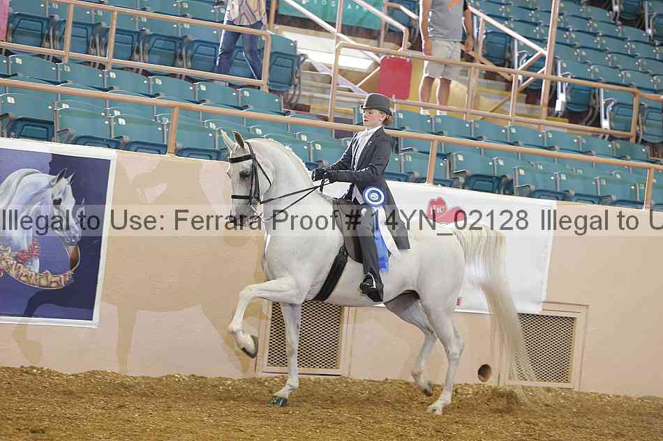 Proof 14yn_02128