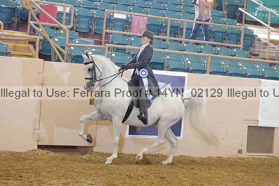 Proof 14yn_02129