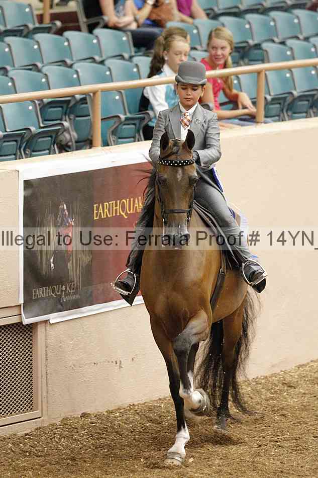 Proof 14yn_02137