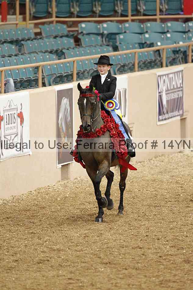 Proof 14yn_02154