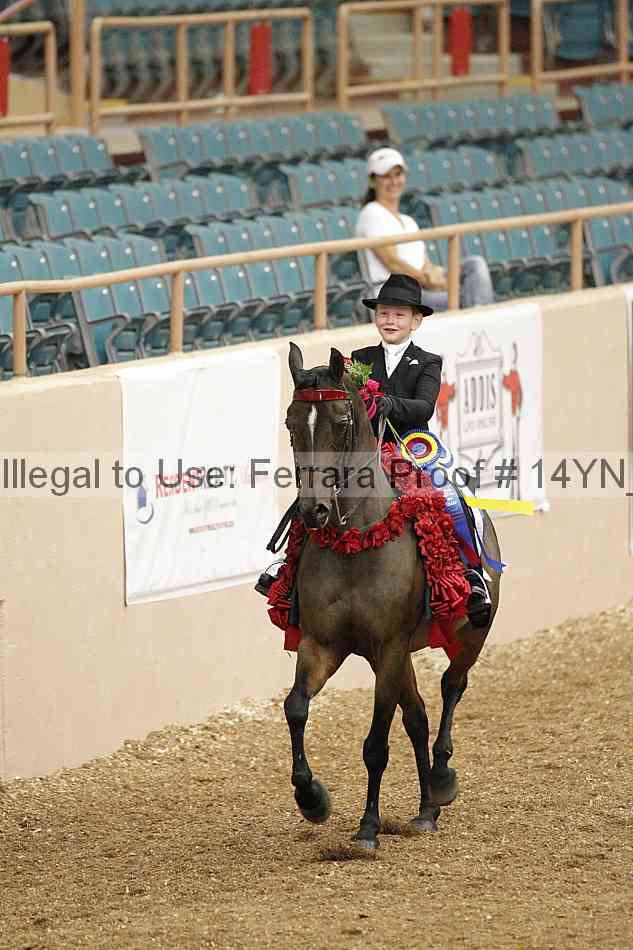 Proof 14yn_02155