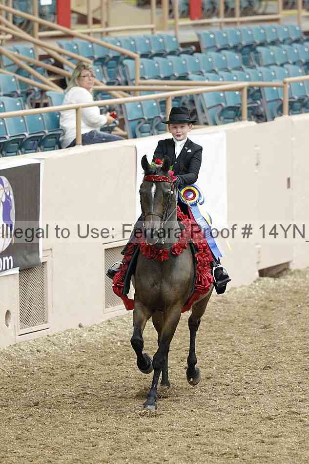 Proof 14yn_02157