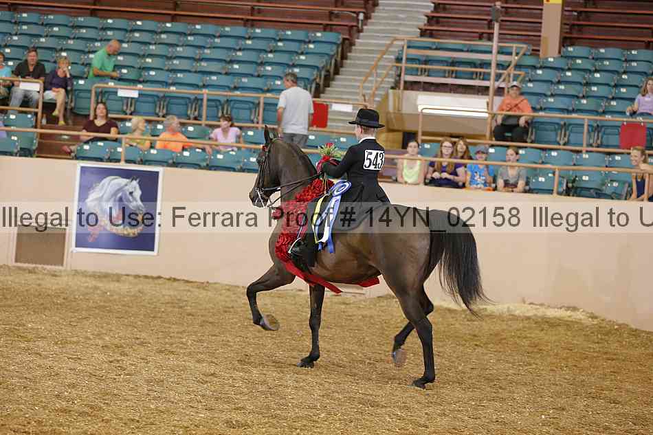 Proof 14yn_02158