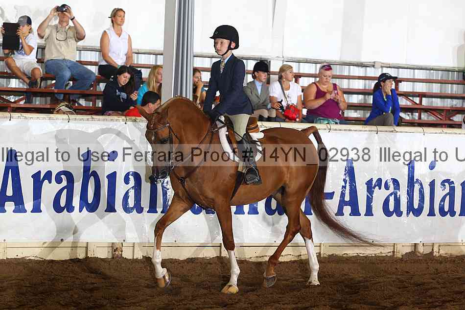 Proof 14yn_02938