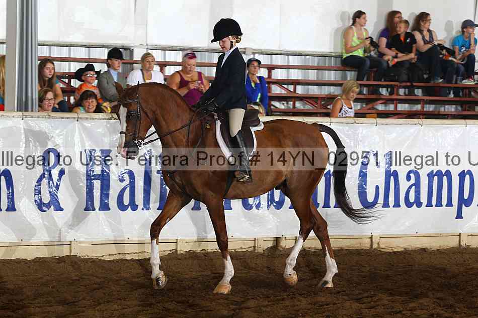 Proof 14yn_02951