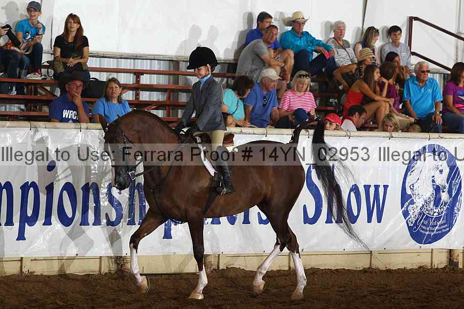 Proof 14yn_02953