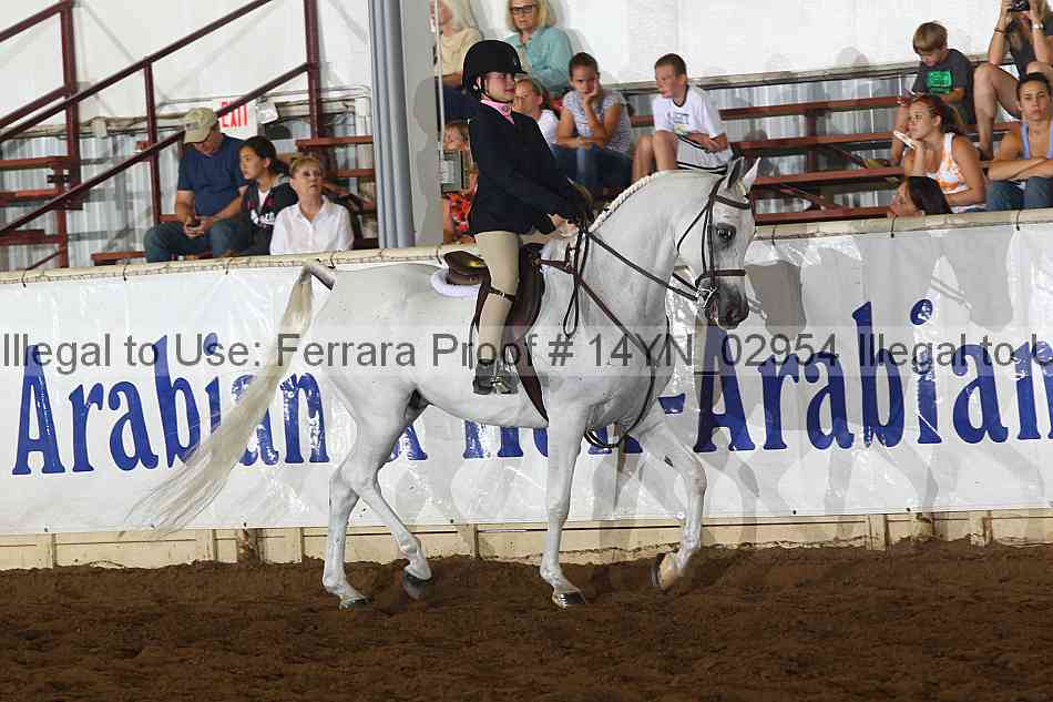 Proof 14yn_02954