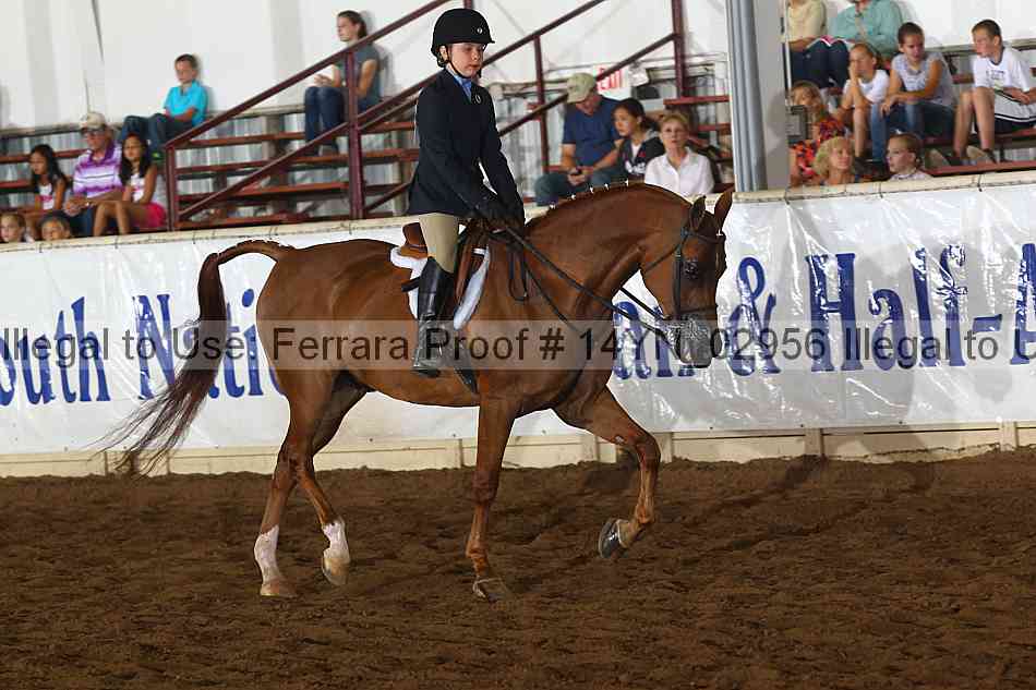 Proof 14yn_02956
