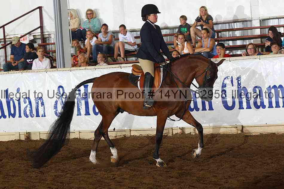 Proof 14yn_02958