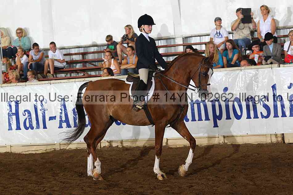 Proof 14yn_02962