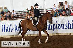 14yn_02962 proof