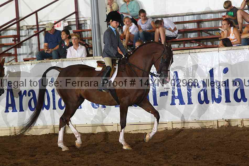 Proof 14yn_02963