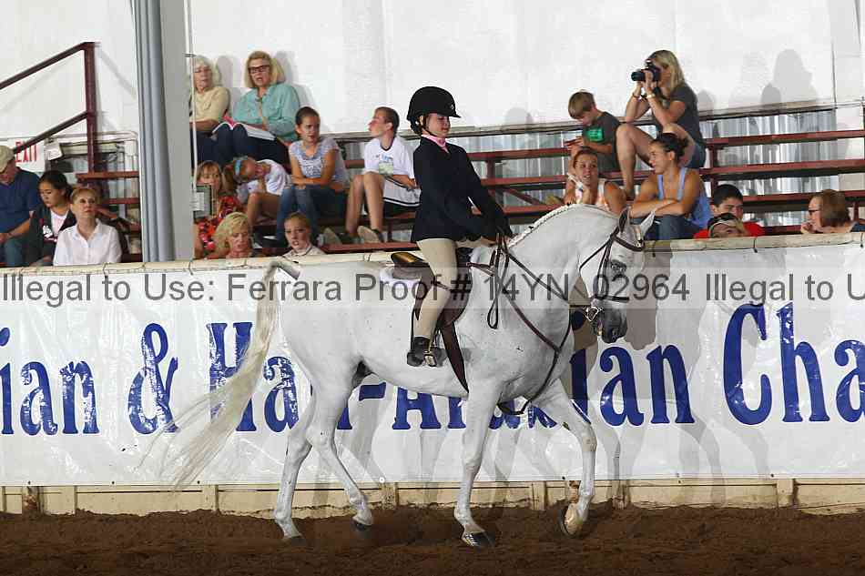 Proof 14yn_02964