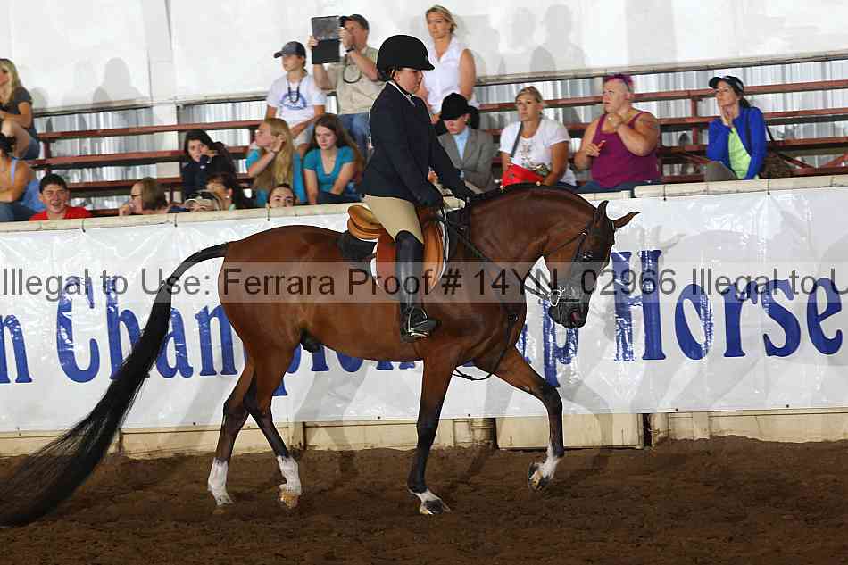 Proof 14yn_02966
