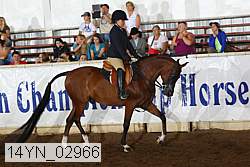 14yn_02966 proof