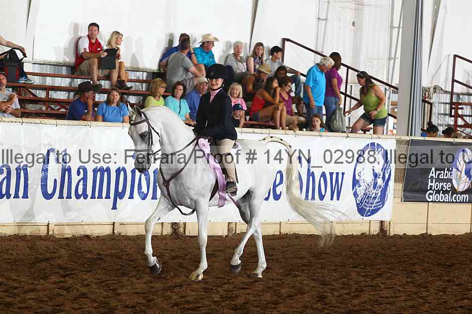 Proof 14yn_02988