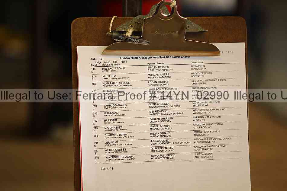 Proof 14yn_02990