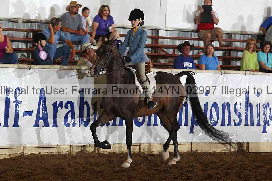 Proof 14yn_02997