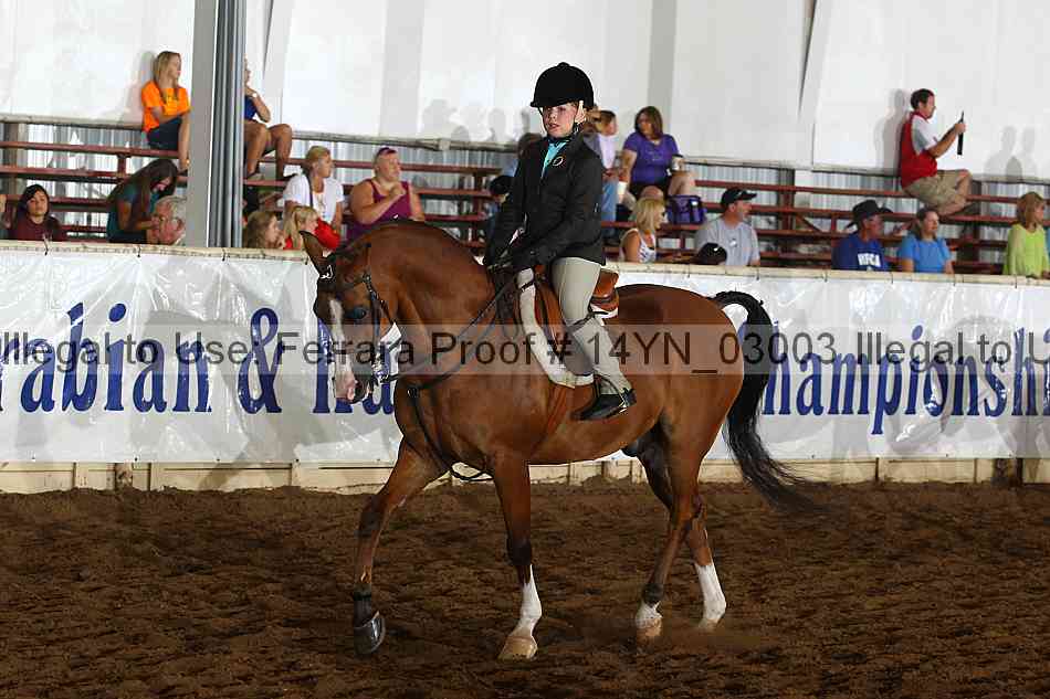 Proof 14yn_03003