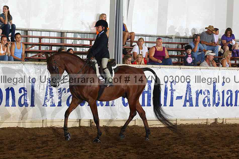 Proof 14yn_03006