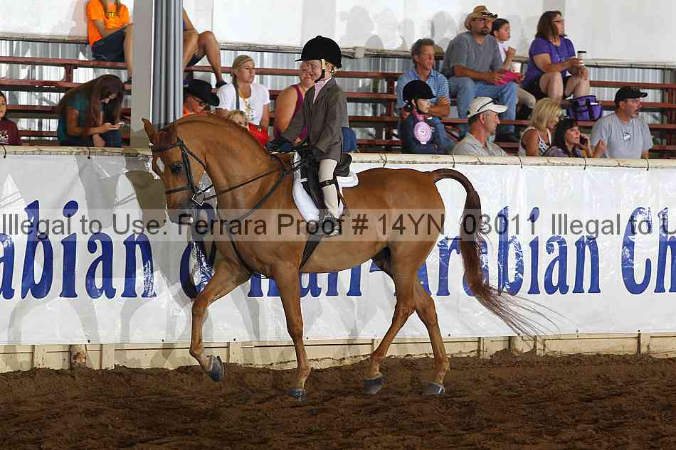 Proof 14yn_03011