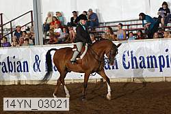 14yn_03021 proof