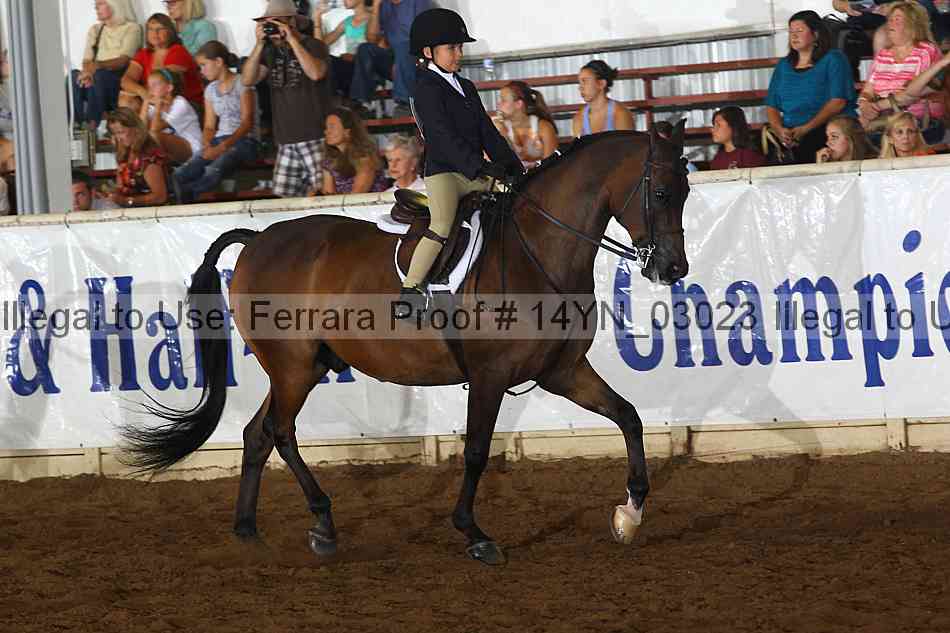 Proof 14yn_03023