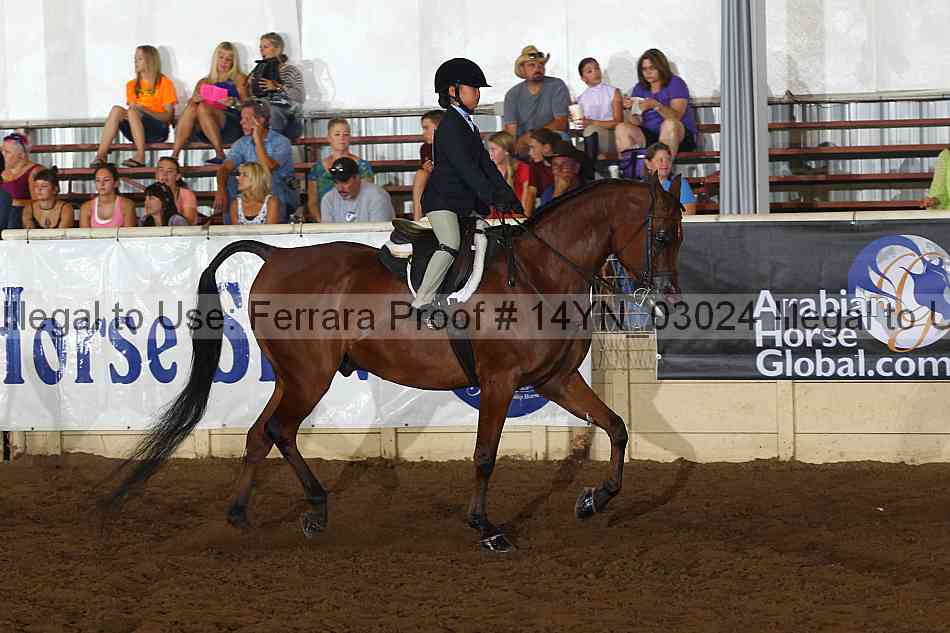 Proof 14yn_03024