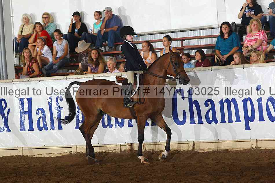 Proof 14yn_03025