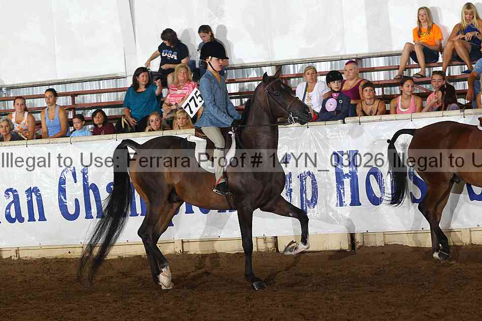 Proof 14yn_03026