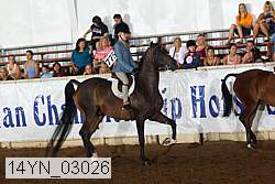 14yn_03026 proof