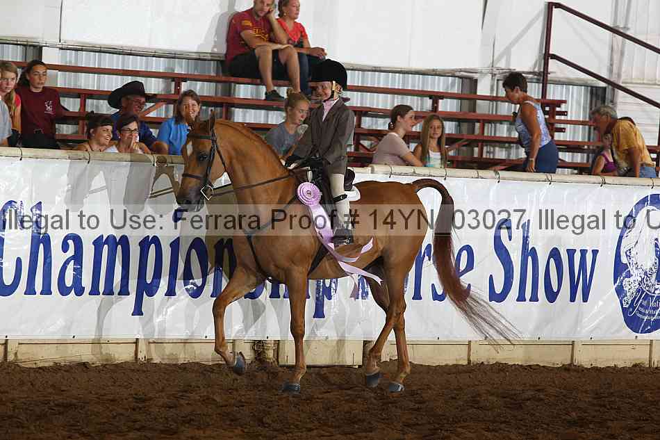 Proof 14yn_03027