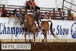 14yn_03027 proof