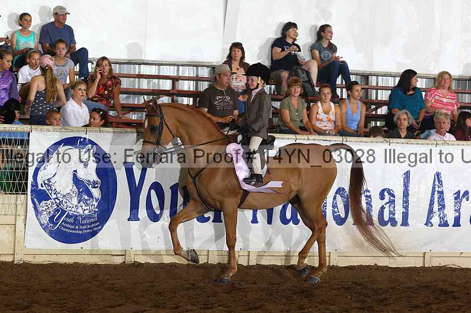 Proof 14yn_03028