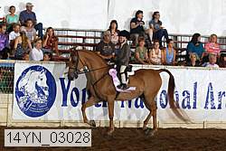 14yn_03028 proof
