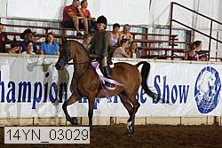 14yn_03029 proof