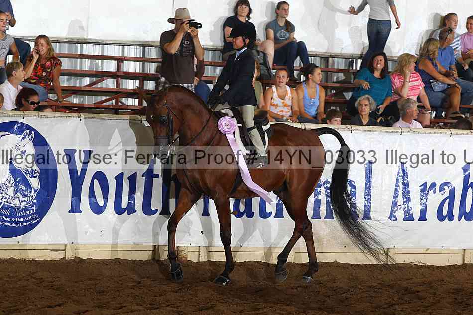 Proof 14yn_03033