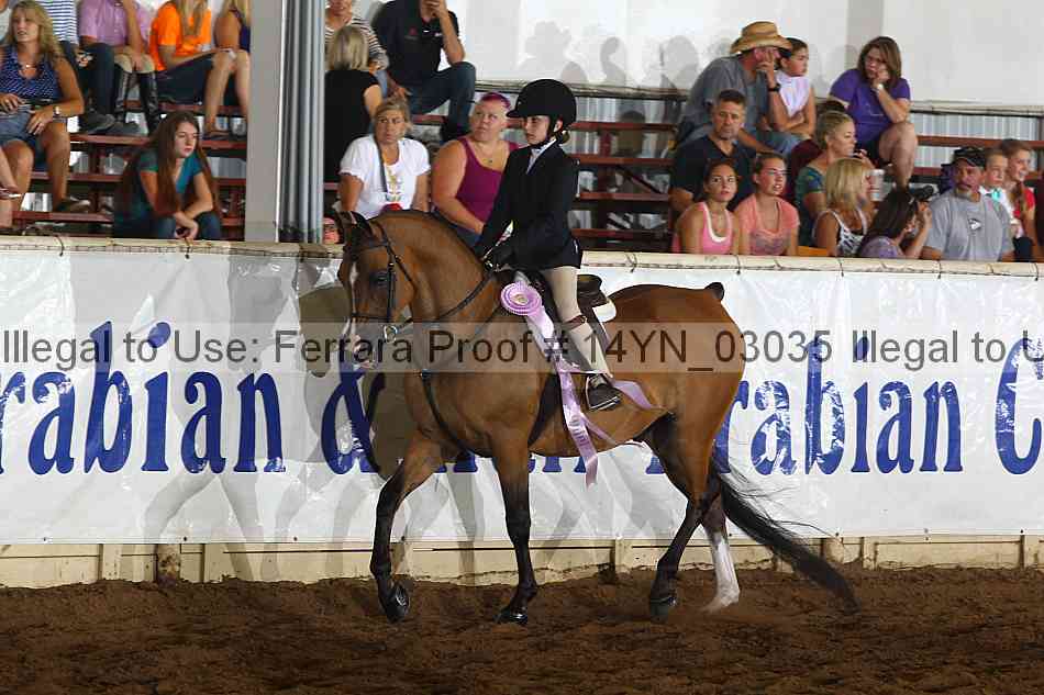 Proof 14yn_03035