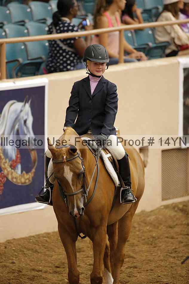 Proof 14yn_18187