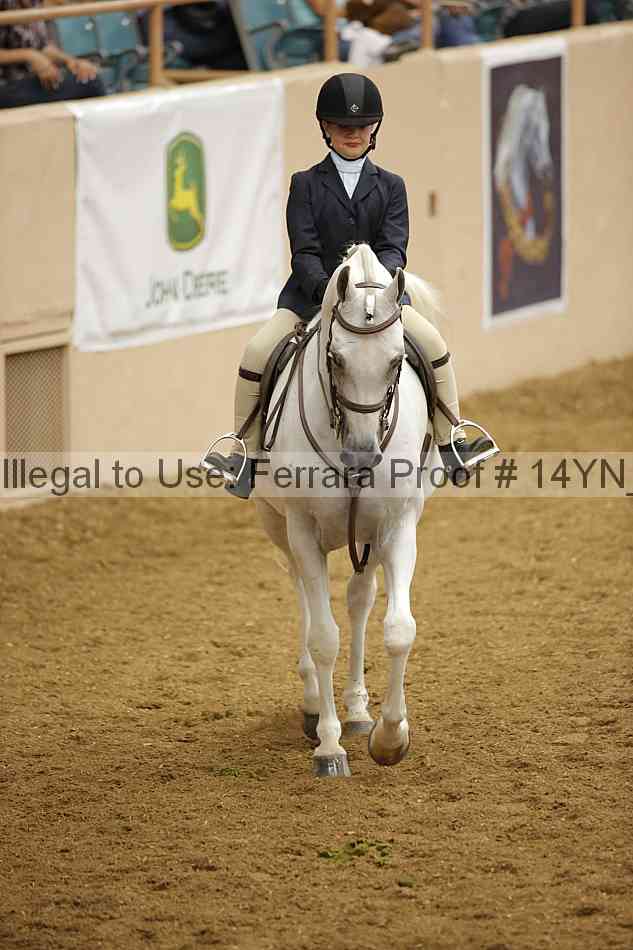 Proof 14yn_18195