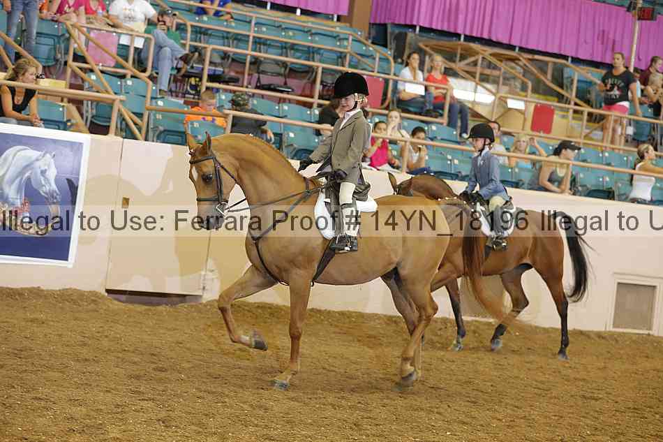 Proof 14yn_18196