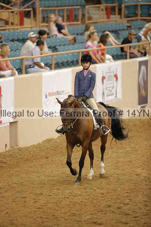 Proof 14yn_18204