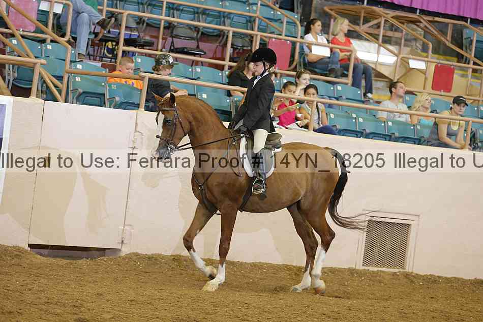 Proof 14yn_18205