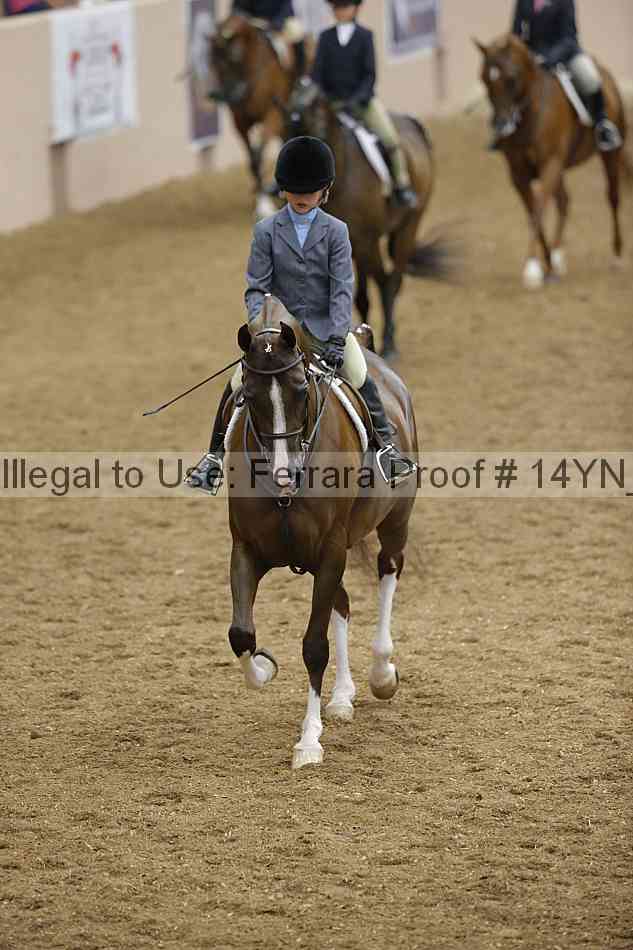 Proof 14yn_18206