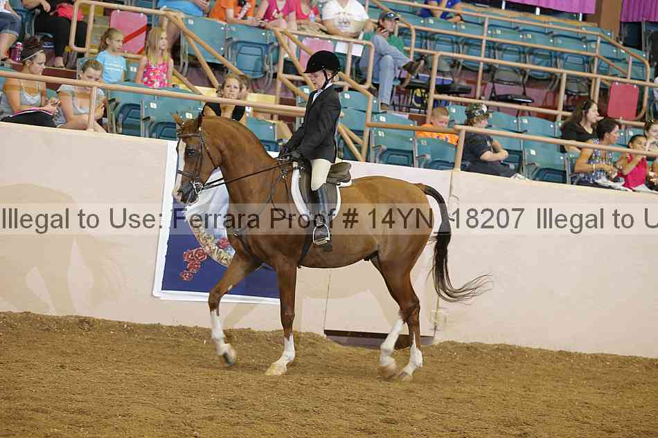 Proof 14yn_18207