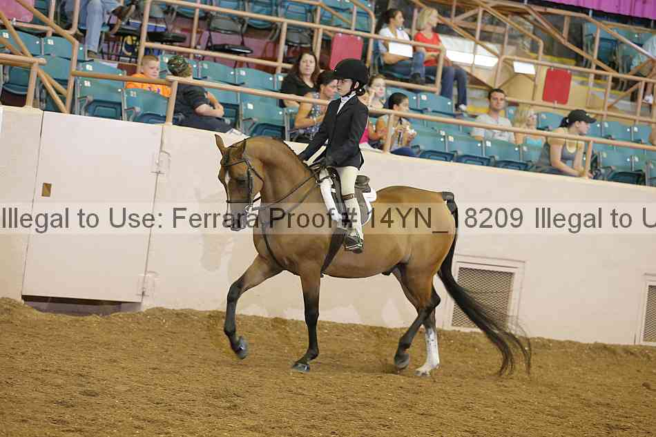 Proof 14yn_18209