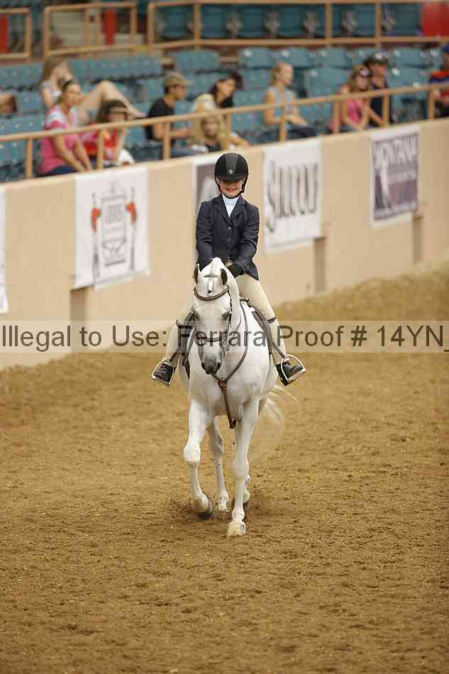 Proof 14yn_18218