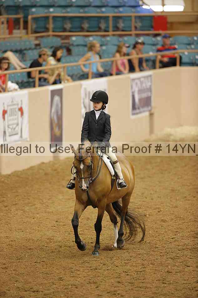 Proof 14yn_18244