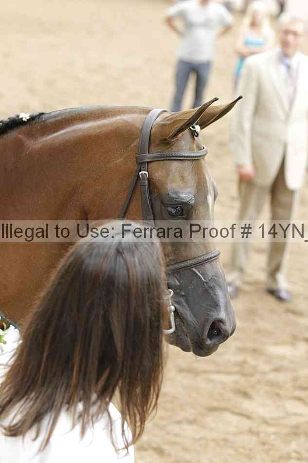 Proof 14yn_18278
